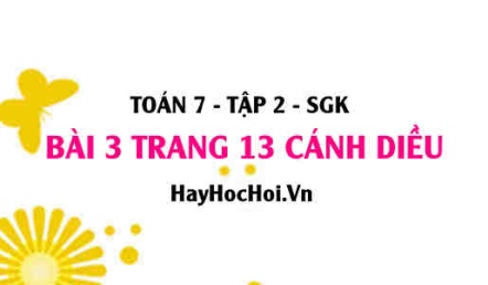 Bài 3 trang 13 Toán 7 Tập 2 Cánh Diều